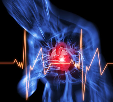 Chest X-ray showing a heart and heart rate activity