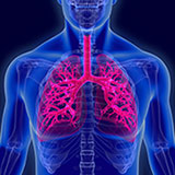 Lung Health Resources
