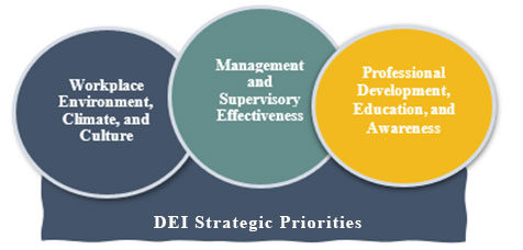 Diversity, Equity and Inclusion Strategic Priorities