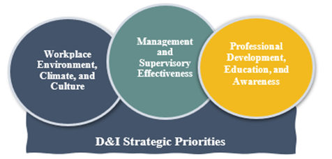 Diversity and Inclusion Strategic Priorities