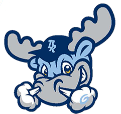 Wilmington Blue Rocks logo