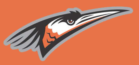 Shorebirds logo