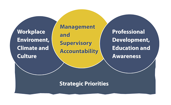Strategic Priorities: Workplace Environment, Climage and Culture; Management and Supervisory Accountability; Professional Development, Education and Awareness