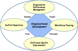 Organizational Development Model