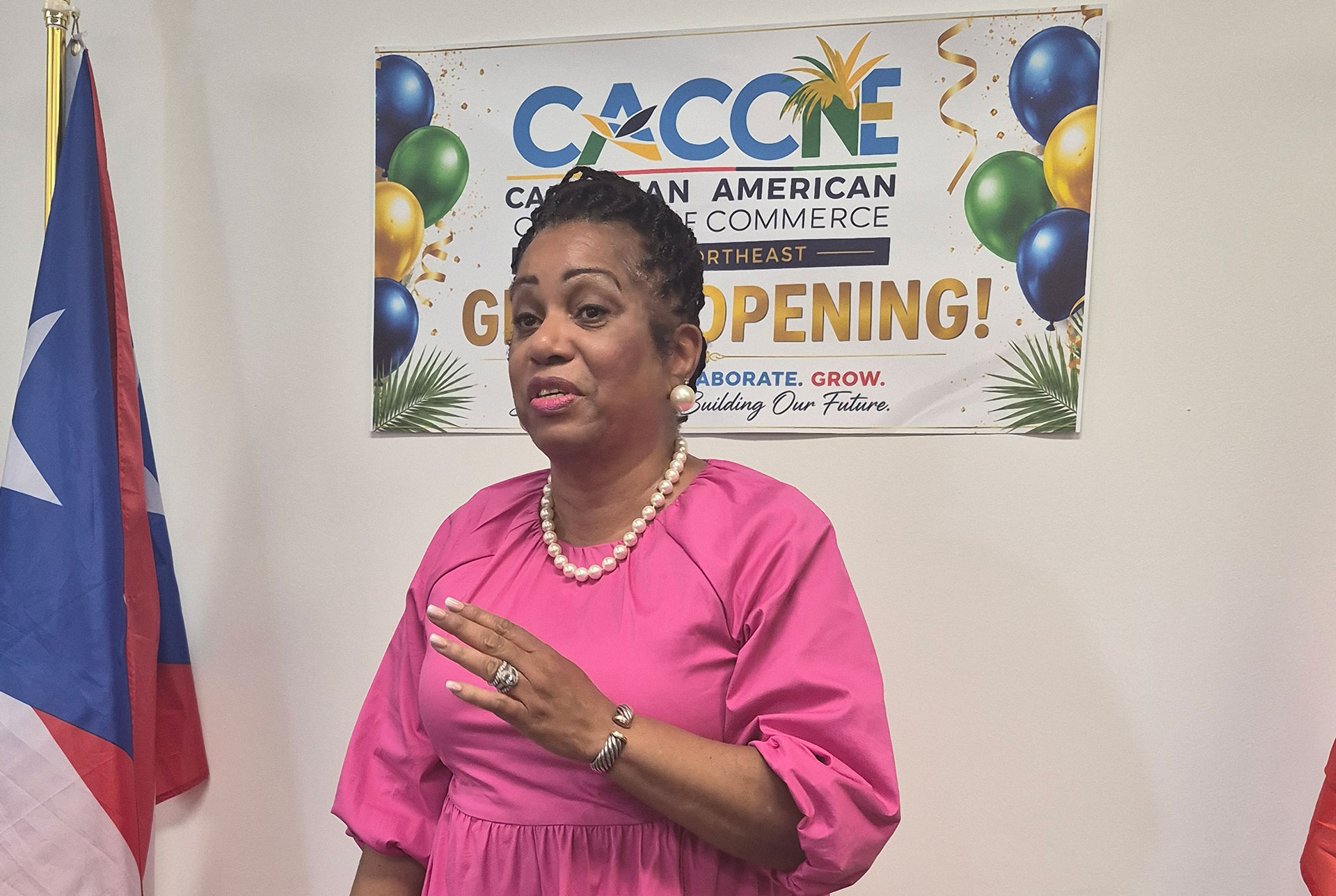 A woman in a pink dress giving a speech at the Caribbean American Chamber of Commerce of Northeast event.